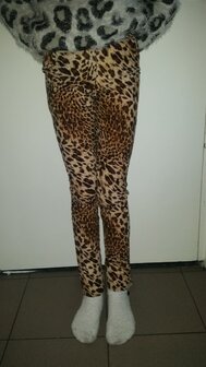 panter legging